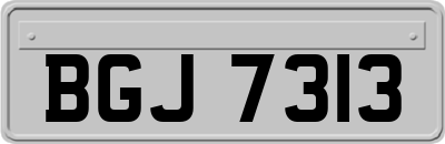 BGJ7313