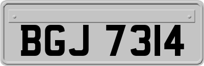 BGJ7314