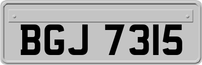 BGJ7315