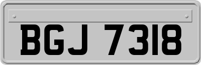BGJ7318