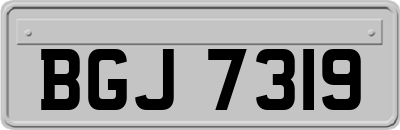 BGJ7319