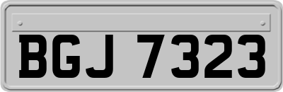 BGJ7323