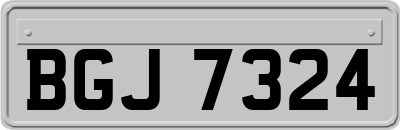 BGJ7324