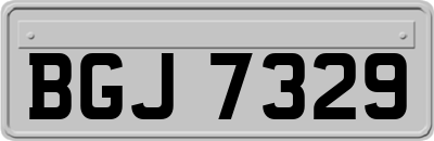 BGJ7329