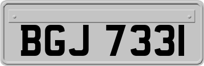 BGJ7331