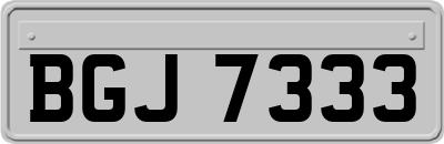 BGJ7333