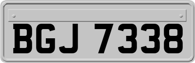 BGJ7338