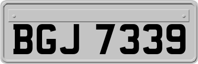 BGJ7339