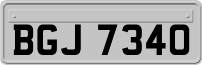 BGJ7340