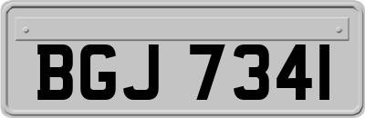 BGJ7341