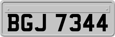 BGJ7344