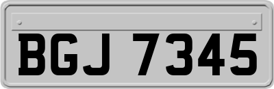 BGJ7345