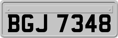 BGJ7348