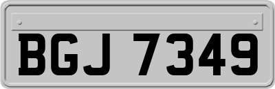 BGJ7349
