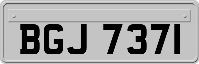 BGJ7371