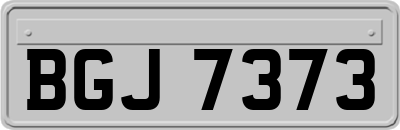 BGJ7373