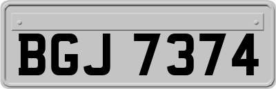 BGJ7374