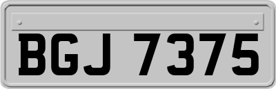 BGJ7375