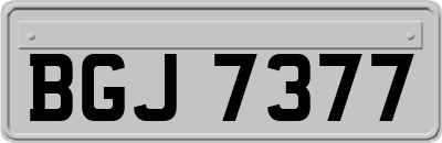 BGJ7377