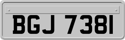 BGJ7381
