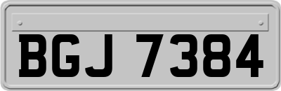 BGJ7384