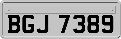 BGJ7389