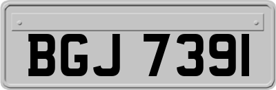 BGJ7391