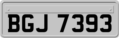 BGJ7393