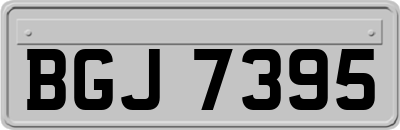 BGJ7395
