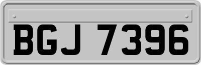 BGJ7396