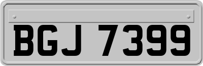BGJ7399