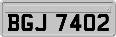 BGJ7402