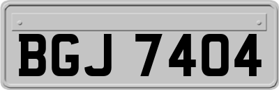 BGJ7404