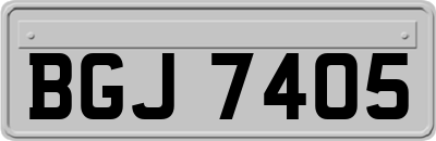 BGJ7405
