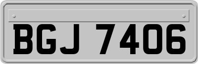 BGJ7406