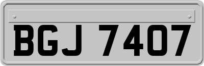 BGJ7407