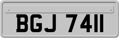 BGJ7411
