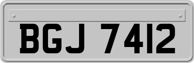 BGJ7412