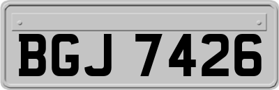 BGJ7426