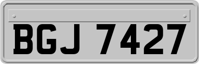 BGJ7427