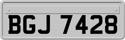 BGJ7428