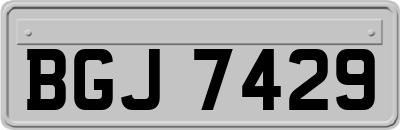 BGJ7429