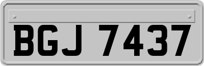 BGJ7437