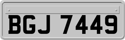 BGJ7449