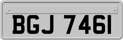 BGJ7461