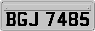 BGJ7485