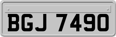 BGJ7490