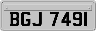 BGJ7491