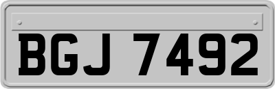 BGJ7492