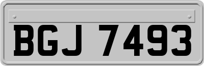 BGJ7493